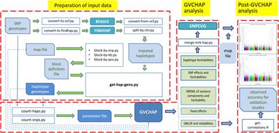 GVCHAP: A Computing Pipeline for Genomic Prediction and Variance Component Estimation Using Haplotypes and SNP Markers